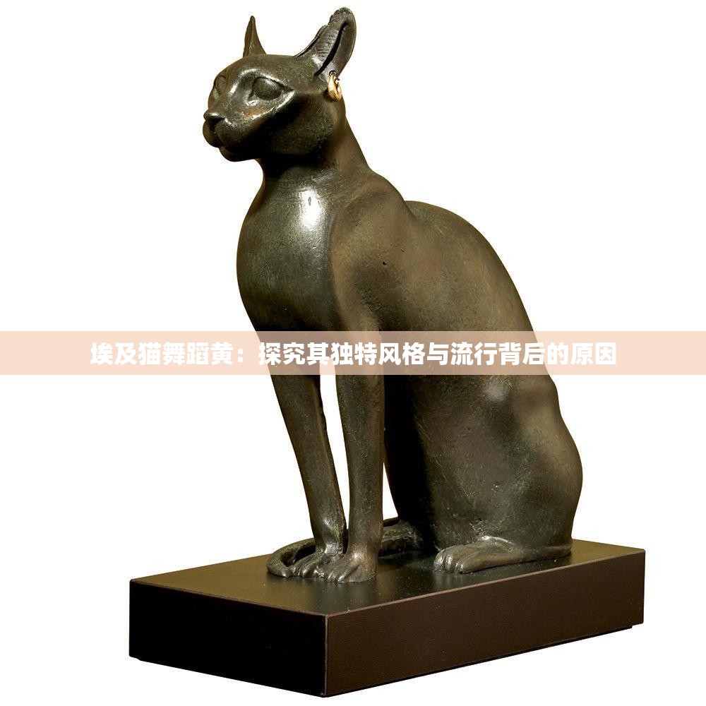 埃及貓舞蹈黃：探究其獨特風格與流行背后的原因