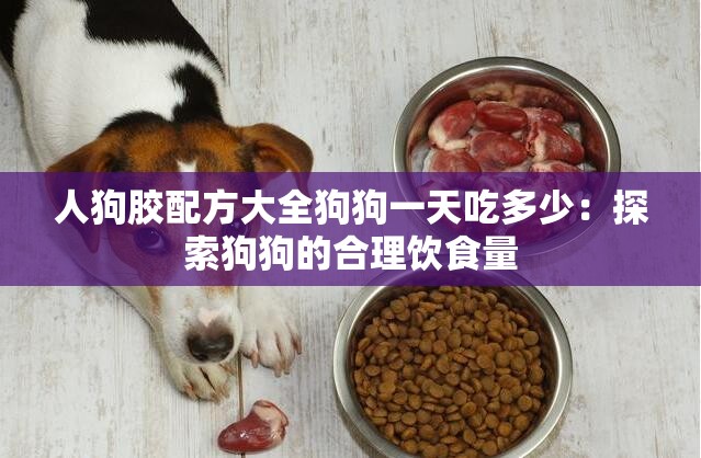 人狗膠配方大全狗狗一天吃多少：探索狗狗的合理飲食量