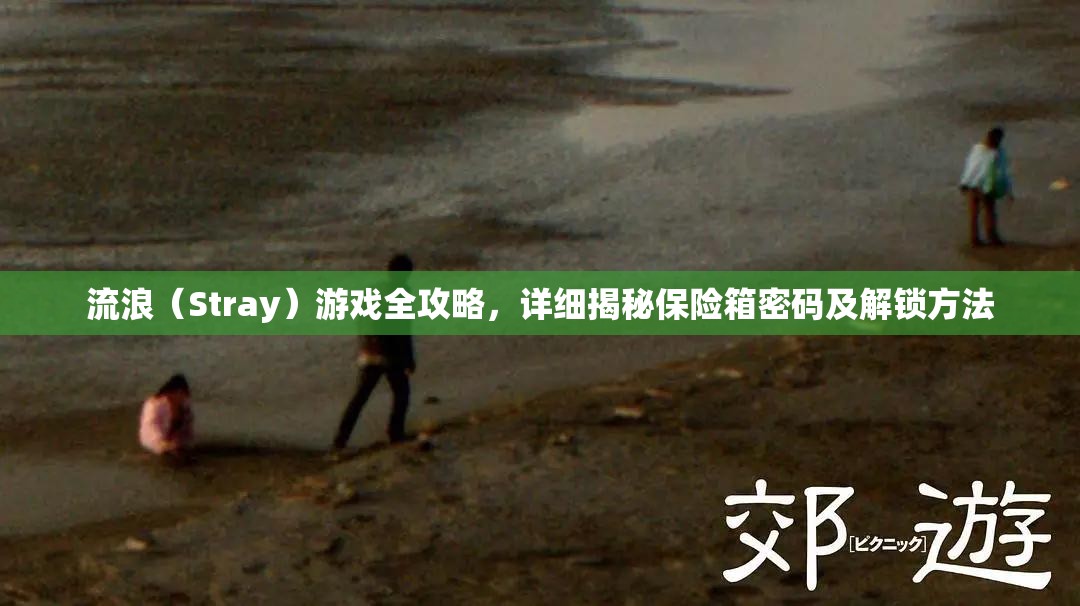流浪（Stray）游戲全攻略，詳細(xì)揭秘保險箱密碼及解鎖方法