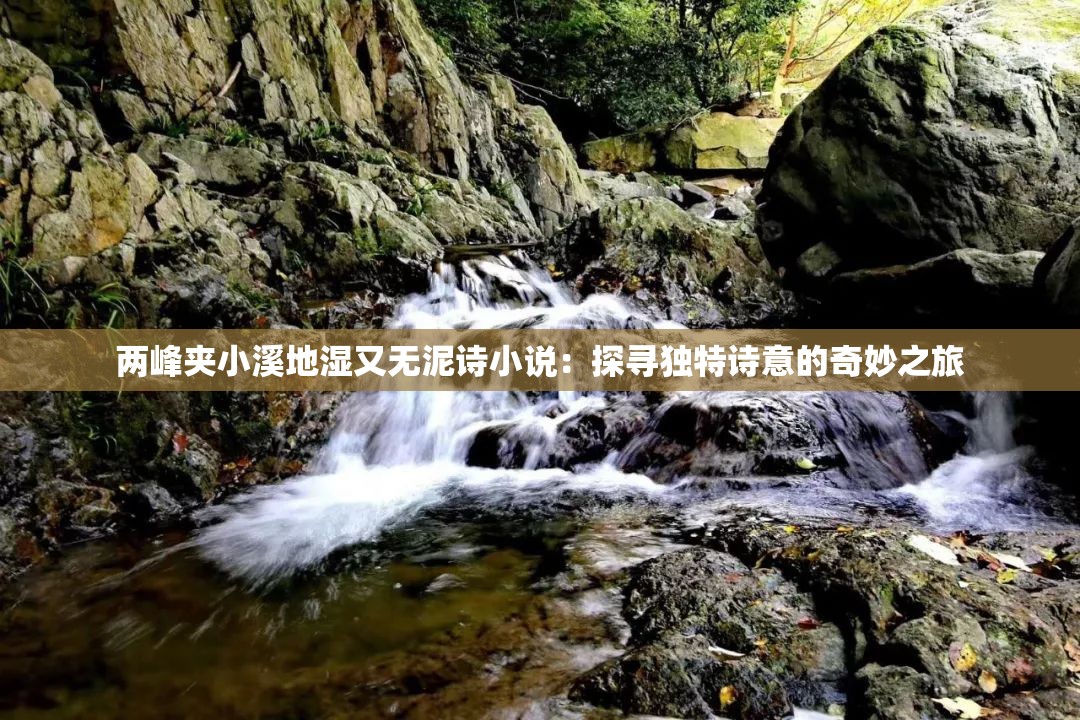 兩峰夾小溪地濕又無泥詩小說：探尋獨特詩意的奇妙之旅