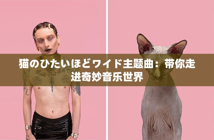 貓のひたいほどワイド主題曲：帶你走進(jìn)奇妙音樂世界