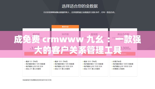 成免費 crmwww 九幺 ：一款強大的客戶關系管理工具