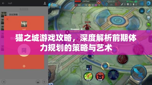 貓之城游戲攻略，深度解析前期體力規(guī)劃的策略與藝術(shù)
