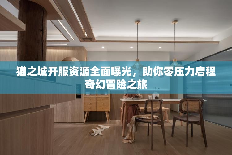 貓之城開服資源全面曝光，助你零壓力啟程奇幻冒險之旅