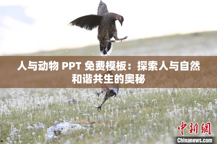 人與動物 PPT 免費模板：探索人與自然和諧共生的奧秘