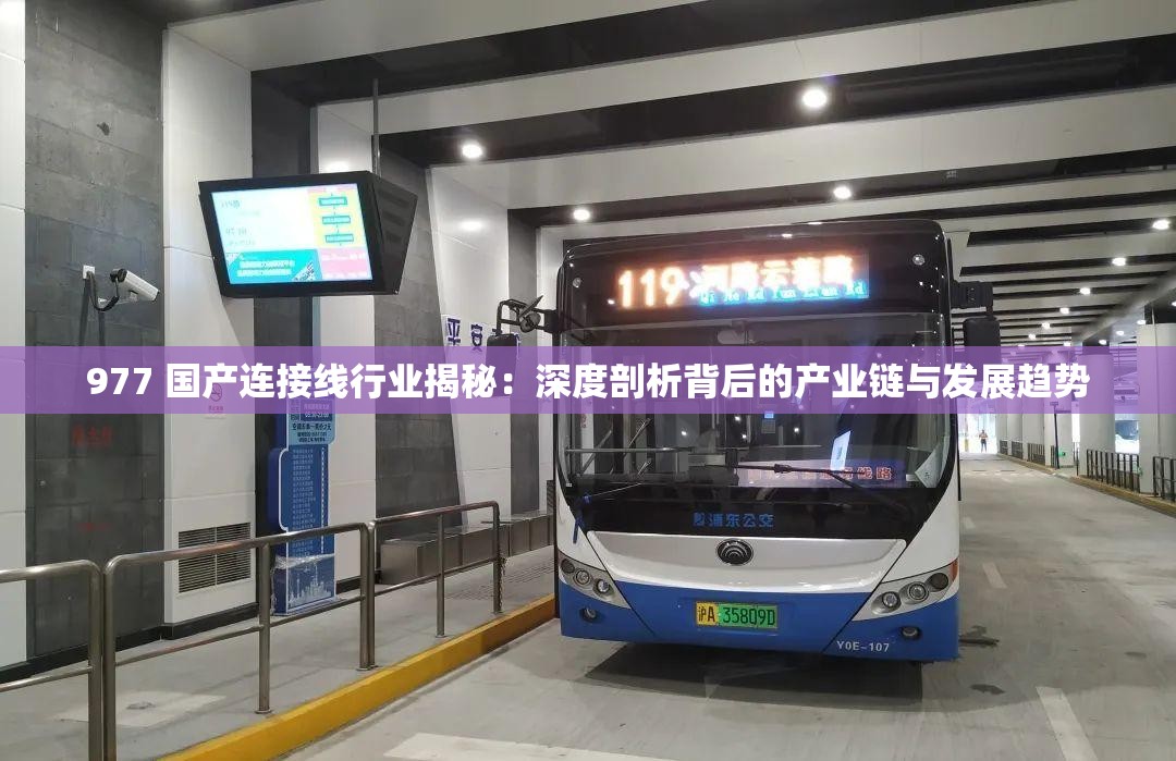 977 國產(chǎn)連接線行業(yè)揭秘：深度剖析背后的產(chǎn)業(yè)鏈與發(fā)展趨勢