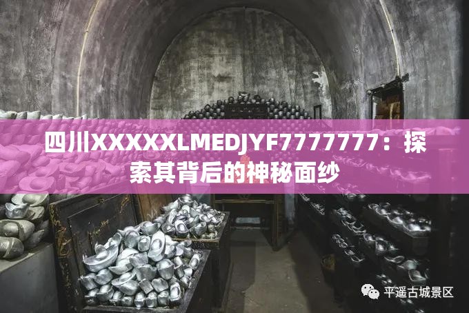 四川XXXXXLMEDJYF7777777：探索其背后的神秘面紗