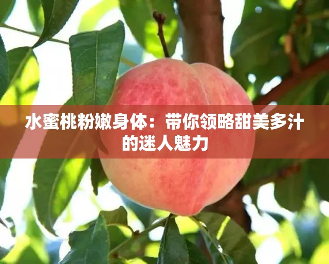 水蜜桃粉嫩身體：帶你領(lǐng)略甜美多汁的迷人魅力