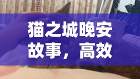 貓之城晚安故事，高效陣容搭配策略、精細(xì)資源管理與價(jià)值最大化指南