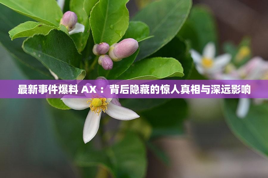 最新事件爆料 AX ：背后隱藏的驚人真相與深遠(yuǎn)影響
