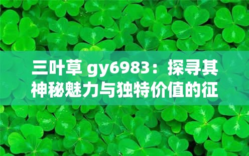 三葉草 gy6983：探尋其神秘魅力與獨特價值的征程