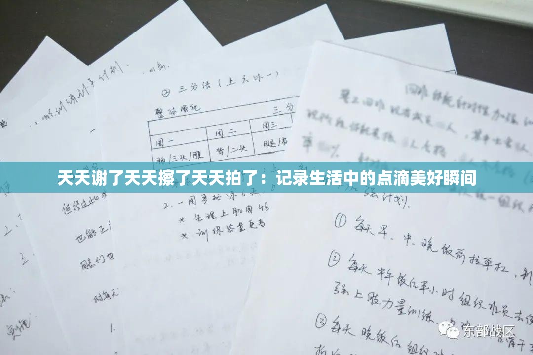 天天謝了天天擦了天天拍了：記錄生活中的點滴美好瞬間