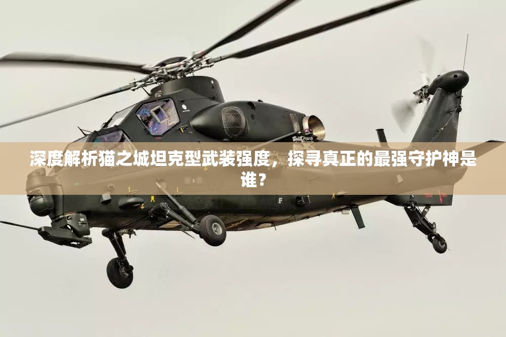 深度解析貓之城坦克型武裝強度，探尋真正的最強守護神是誰？