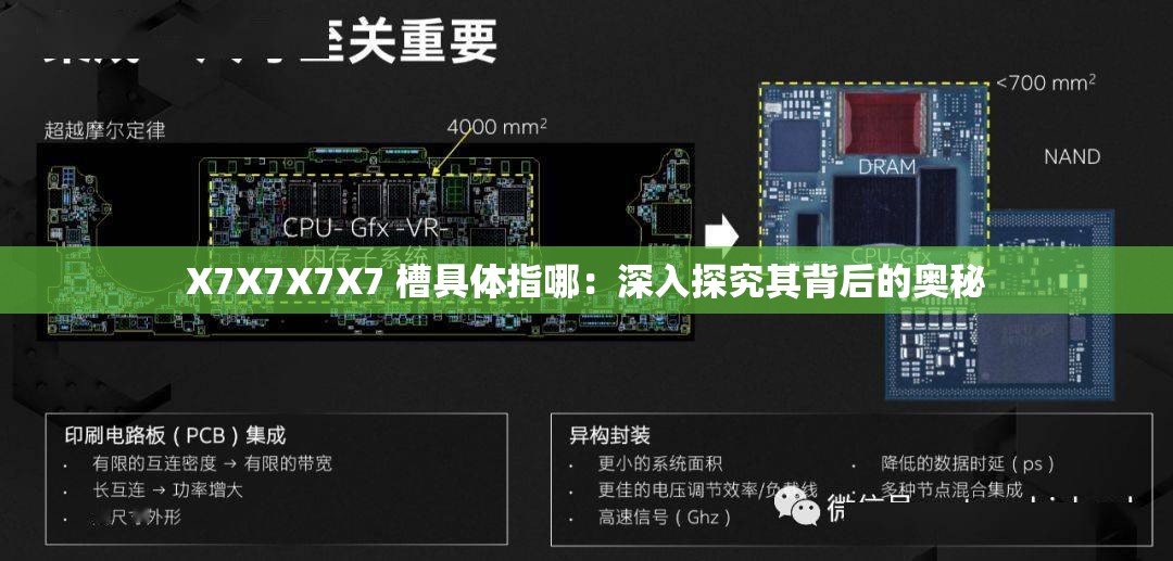 X7X7X7X7 槽具體指哪：深入探究其背后的奧秘