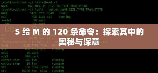 S 給 M 的 120 條命令：探索其中的奧秘與深意