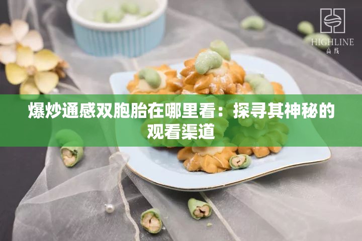 爆炒通感雙胞胎在哪里看：探尋其神秘的觀看渠道