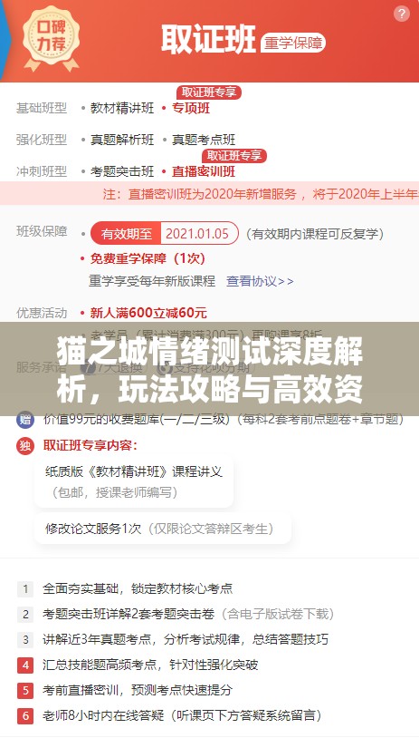 貓之城情緒測(cè)試深度解析，玩法攻略與高效資源管理技巧