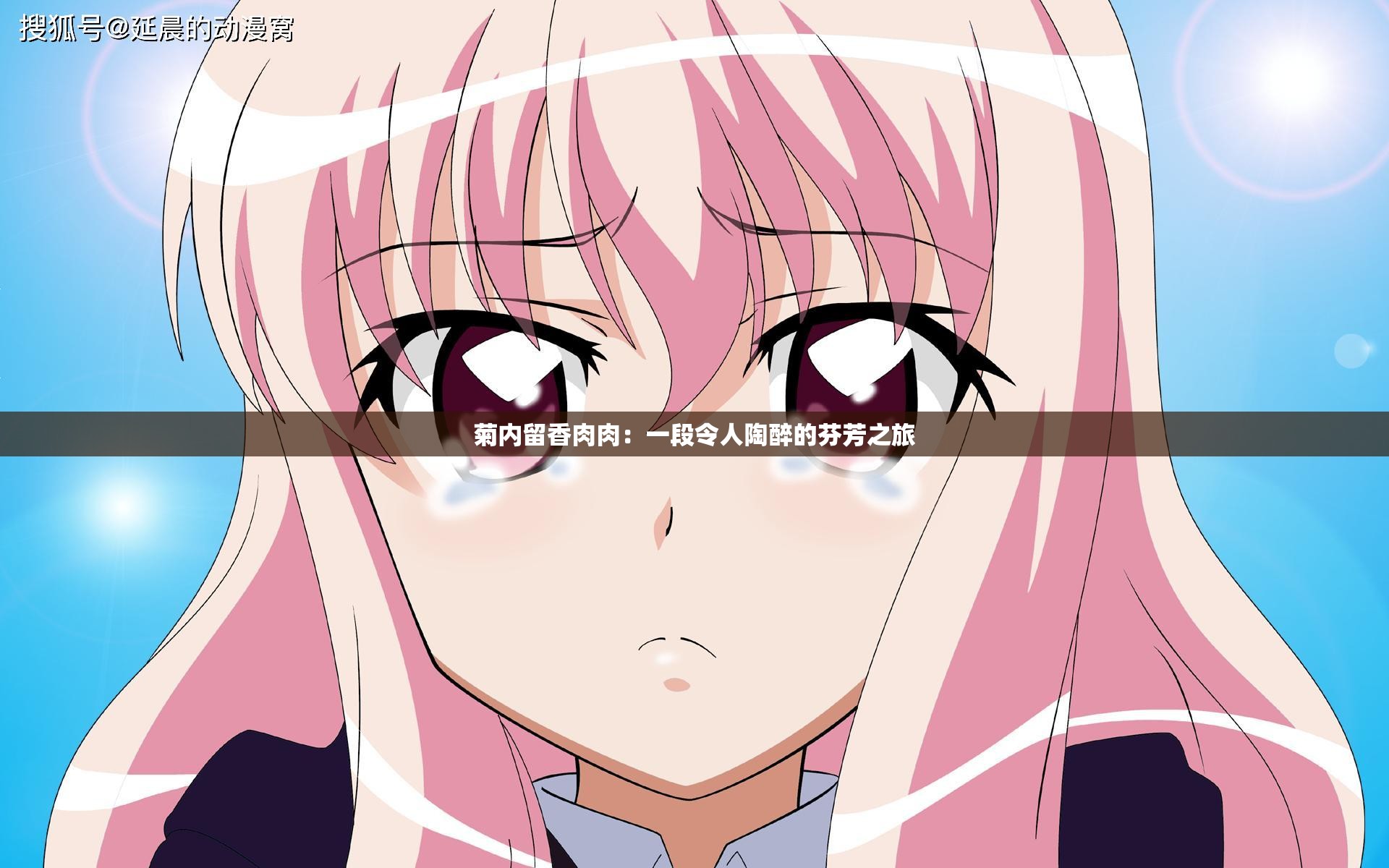 菊內(nèi)留香肉肉：一段令人陶醉的芬芳之旅