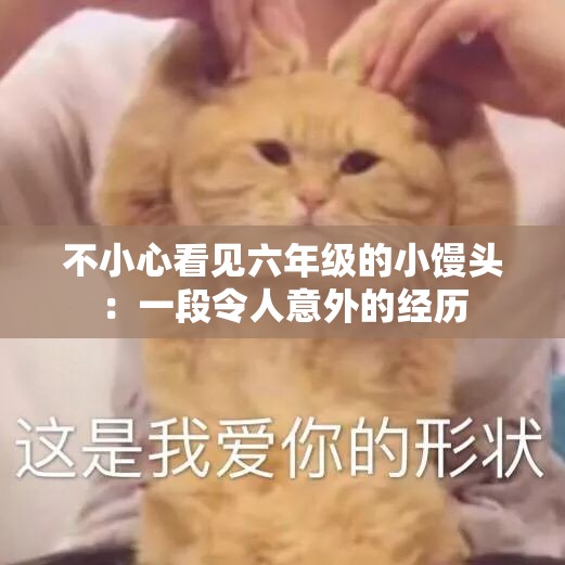 不小心看見(jiàn)六年級(jí)的小饅頭：一段令人意外的經(jīng)歷