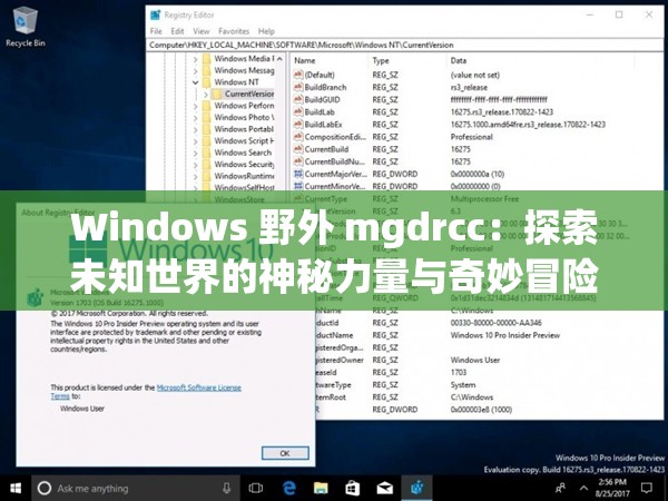 Windows 野外 mgdrcc：探索未知世界的神秘力量與奇妙冒險(xiǎn)