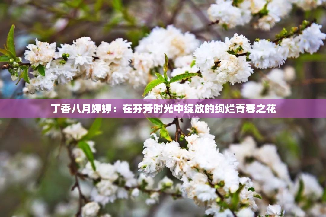 丁香八月婷婷：在芬芳時光中綻放的絢爛青春之花