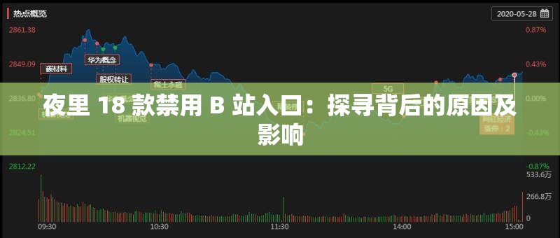 夜里 18 款禁用 B 站入口：探尋背后的原因及影響