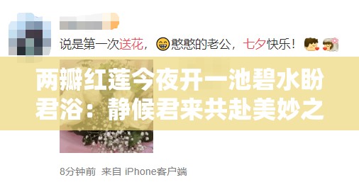 兩瓣紅蓮今夜開一池碧水盼君浴：靜候君來共赴美妙之約