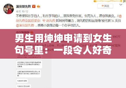 男生用坤坤申請(qǐng)到女生句號(hào)里：一段令人好奇的青春故事