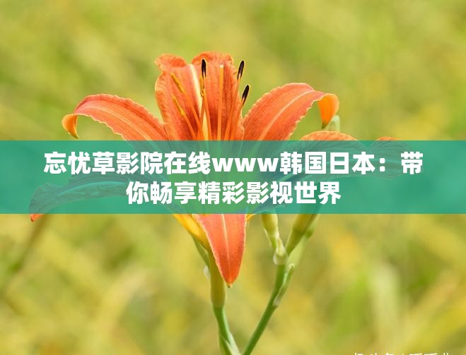 忘憂草影院在線www韓國日本：帶你暢享精彩影視世界