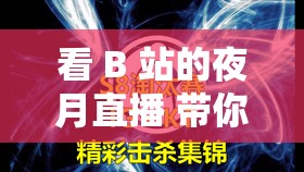 看 B 站的夜月直播 帶你領(lǐng)略精彩的直播世界
