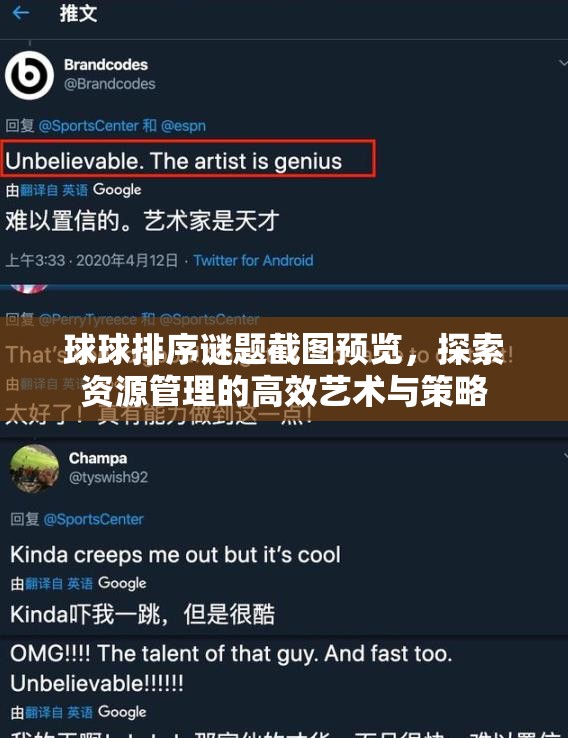 球球排序謎題截圖預(yù)覽，探索資源管理的高效藝術(shù)與策略