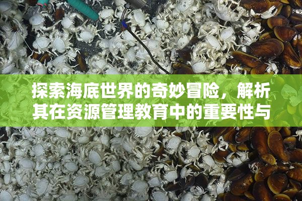 探索海底世界的奇妙冒險(xiǎn)，解析其在資源管理教育中的重要性與趣味性