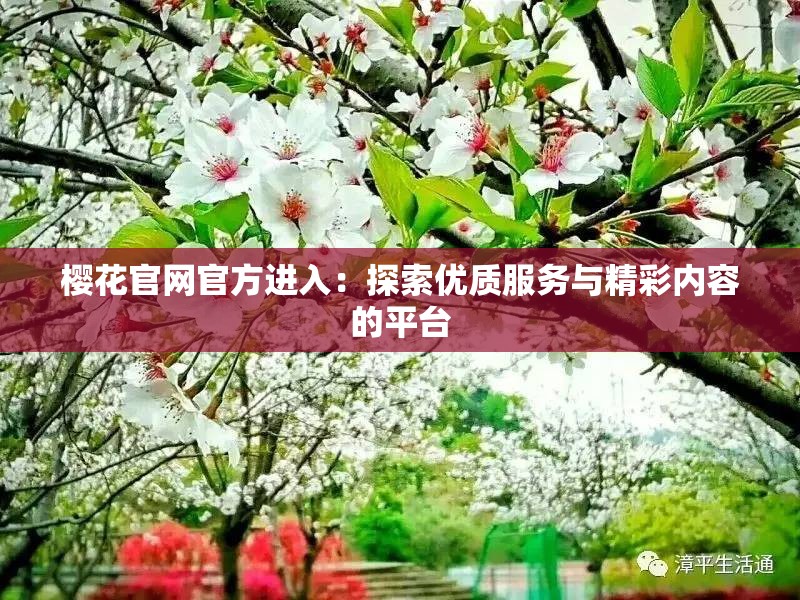 櫻花官網(wǎng)官方進(jìn)入：探索優(yōu)質(zhì)服務(wù)與精彩內(nèi)容的平臺