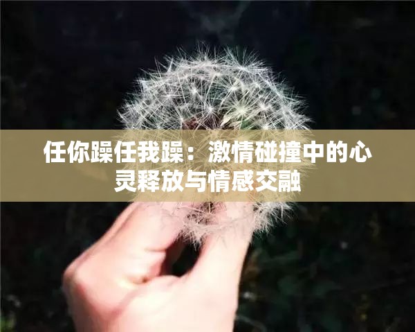 任你躁任我躁：激情碰撞中的心靈釋放與情感交融