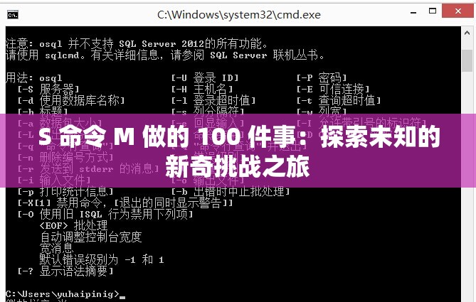 S 命令 M 做的 100 件事：探索未知的新奇挑戰(zhàn)之旅