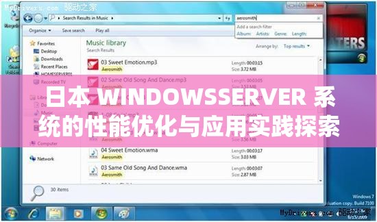 日本 WINDOWSSERVER 系統(tǒng)的性能優(yōu)化與應(yīng)用實(shí)踐探索