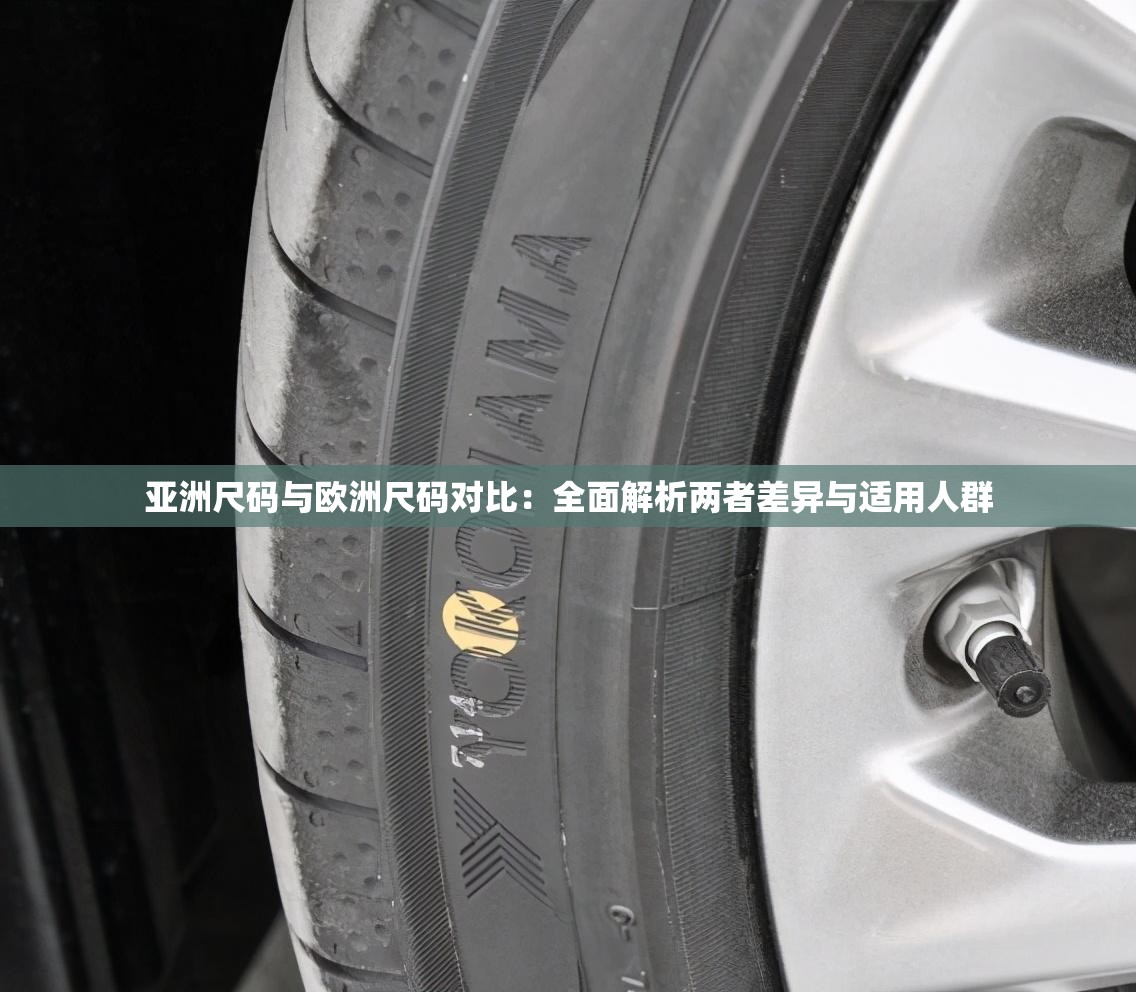 亞洲尺碼與歐洲尺碼對比：全面解析兩者差異與適用人群