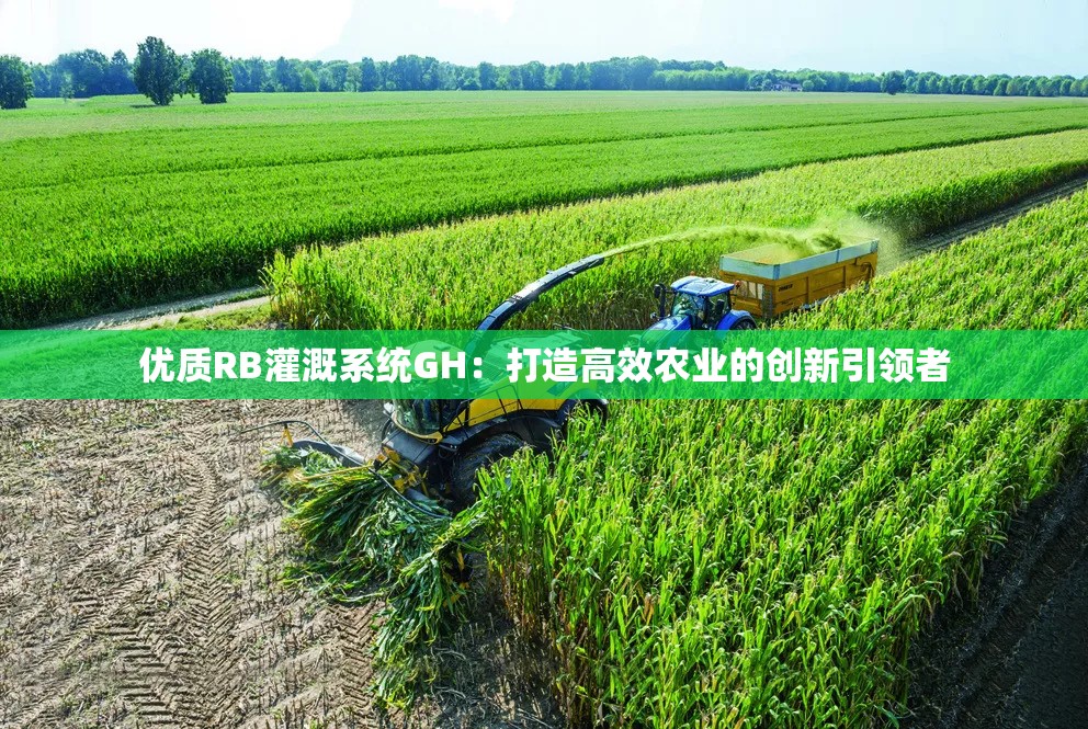 優(yōu)質(zhì)RB灌溉系統(tǒng)GH：打造高效農(nóng)業(yè)的創(chuàng)新引領(lǐng)者