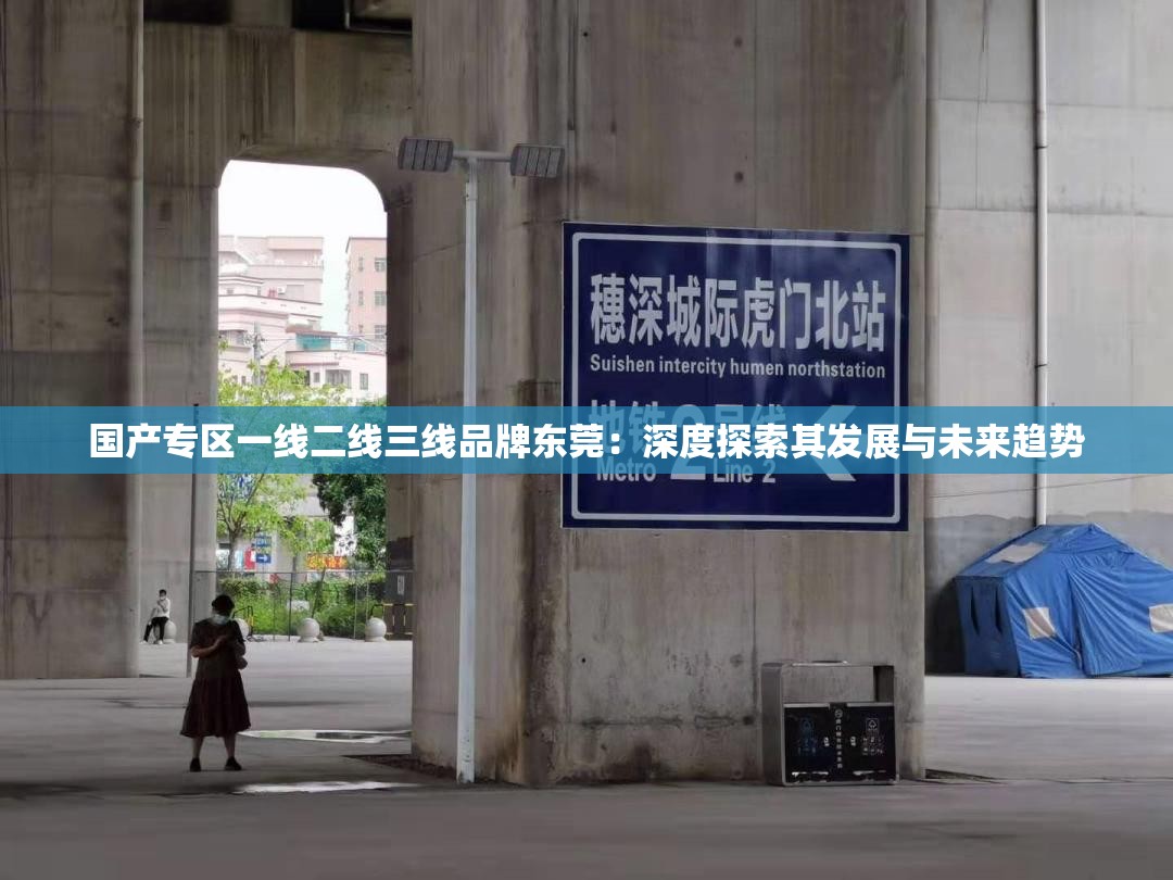 國產(chǎn)專區(qū)一線二線三線品牌東莞：深度探索其發(fā)展與未來趨勢