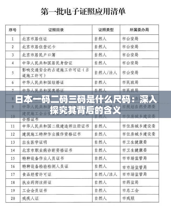 日本一碼二碼三碼是什么尺碼：深入探究其背后的含義