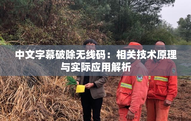 中文字幕破除無(wú)線(xiàn)碼：相關(guān)技術(shù)原理與實(shí)際應(yīng)用解析