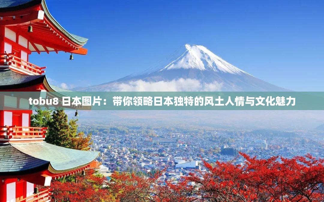 tobu8 日本圖片：帶你領(lǐng)略日本獨(dú)特的風(fēng)土人情與文化魅力
