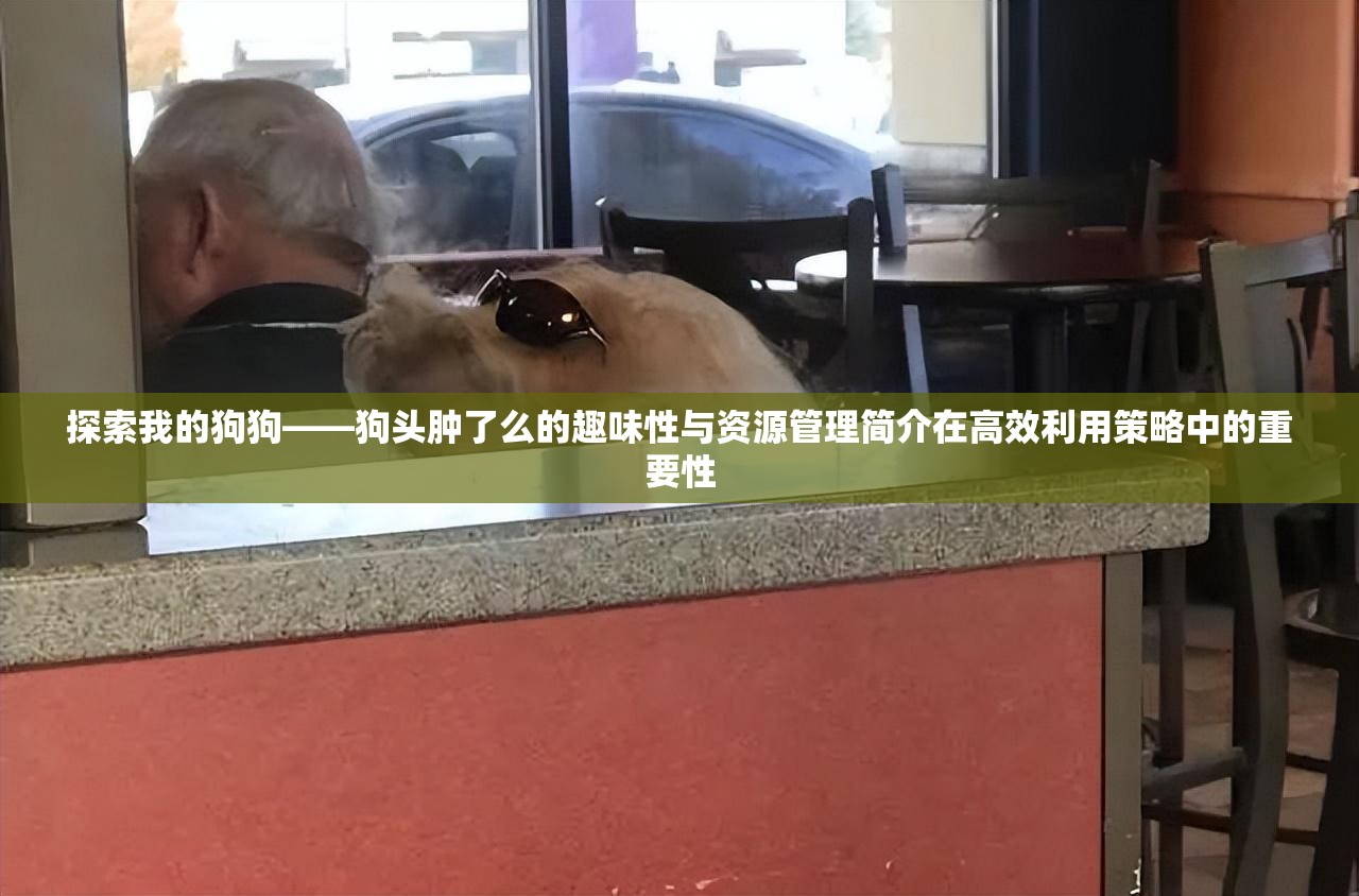 探索我的狗狗——狗頭腫了么的趣味性與資源管理簡介在高效利用策略中的重要性