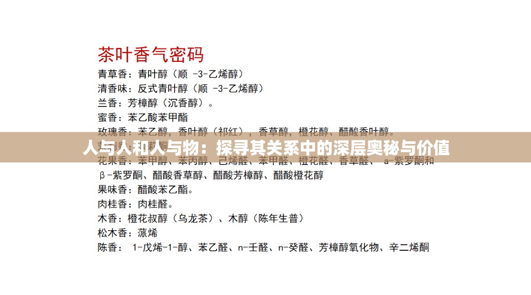 人與人和人與物：探尋其關系中的深層奧秘與價值