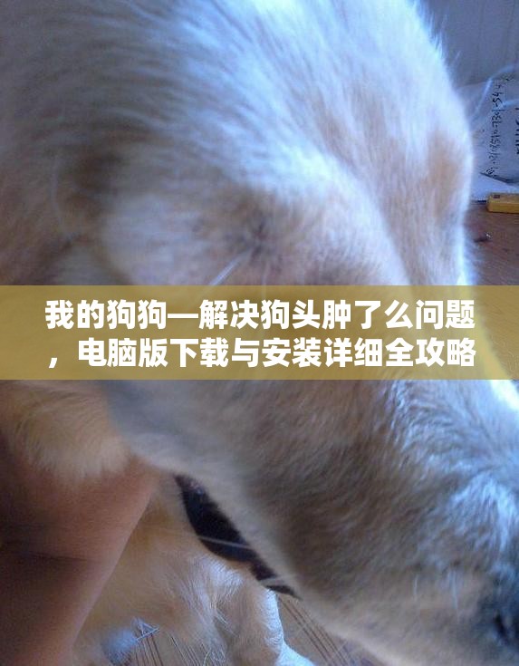 我的狗狗—解決狗頭腫了么問題，電腦版下載與安裝詳細全攻略