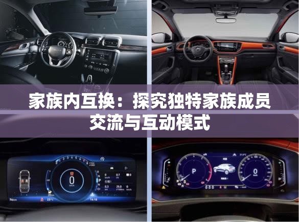 家族內互換：探究獨特家族成員交流與互動模式