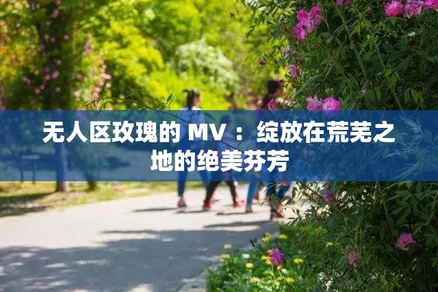 無(wú)人區(qū)玫瑰的 MV ：綻放在荒蕪之地的絕美芬芳