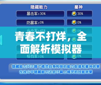 青春不打烊，全面解析模擬器安裝與配置實(shí)用全攻略