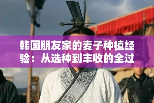 韓國(guó)朋友家的麥子種植經(jīng)驗(yàn)：從選種到豐收的全過程分享