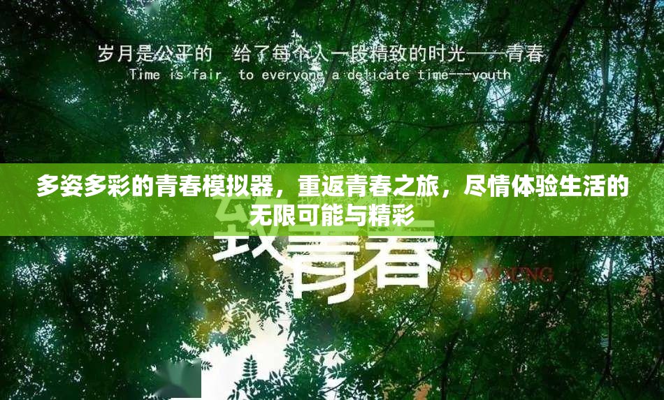 多姿多彩的青春模擬器，重返青春之旅，盡情體驗(yàn)生活的無限可能與精彩